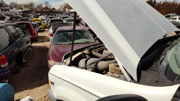 1999 Ford F250 Hood White — photo 5