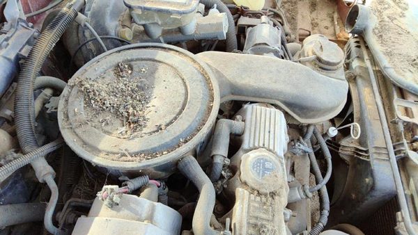 85 Pontiac Sunbird Complete Air Intake Cleaner Filter Box Housing With Tube 1.8L — photo 3