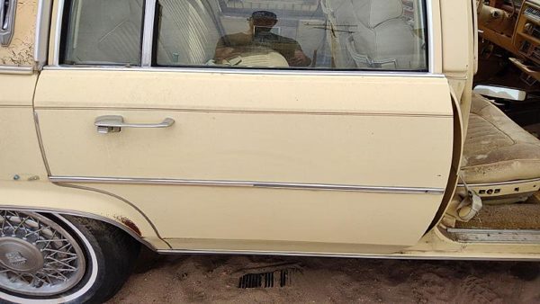 1980 Cadillac Fleetwood Rear Door RH — photo 3
