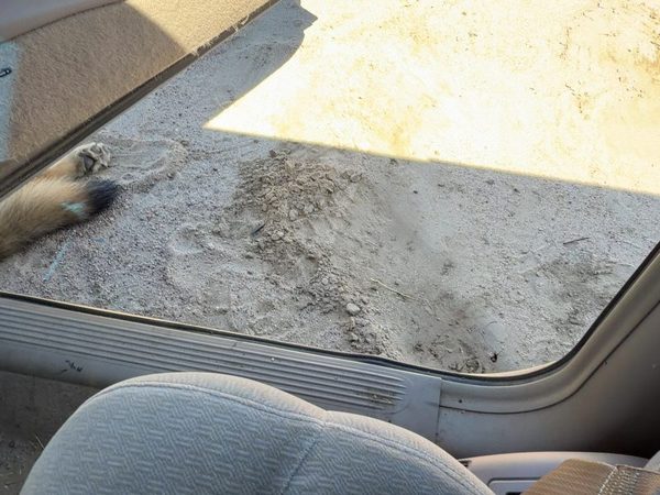 00-05 Lesabre Passenger Right Lower Sill Step Moulding Trim Panel Oem Taupe 56B — photo 3