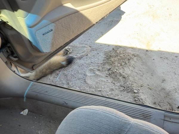 00-05 Lesabre Passenger Right Lower Sill Step Moulding Trim Panel Oem Taupe 56B — photo 4
