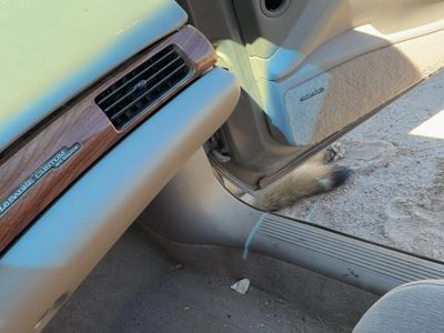 00-05 Lesabre Passenger Right Lower Sill Step Moulding Trim Panel Oem Taupe 56B