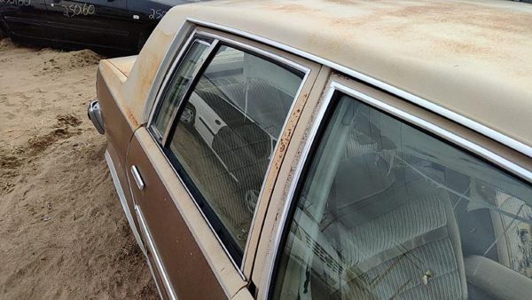 1981 Chevrolet Malibu Rear Door RH Tan 20320764 — photo 2