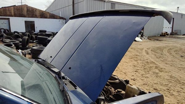 1995 Nissan Pathfinder Hood Blue Hail — photo 3
