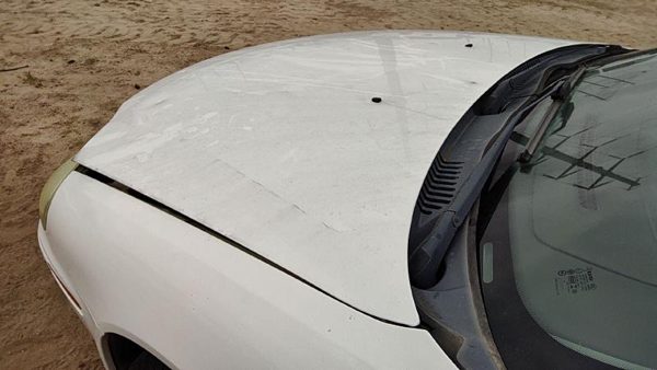 2005 Ford Taurus Hood Wt White Hail — photo 4