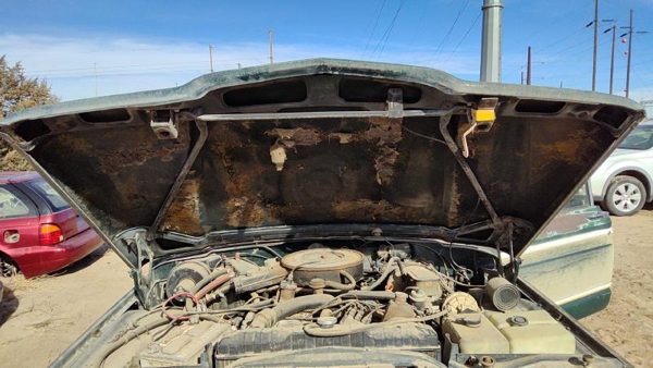 1984 Jeep Grand Hood Green 83506200 — photo 5