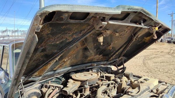 1984 Jeep Grand Hood Green 83506200 — photo 6