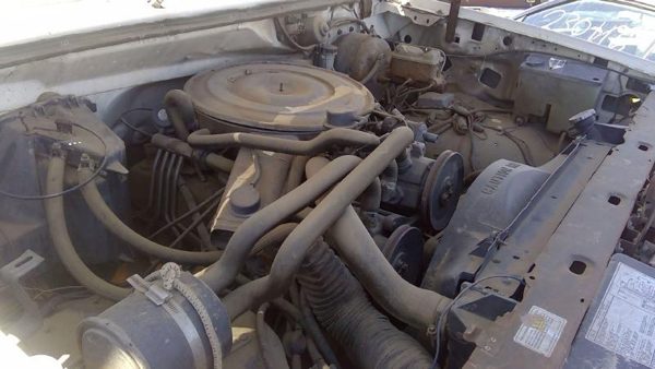 1985 Ford F-250 — vehicle photo 2