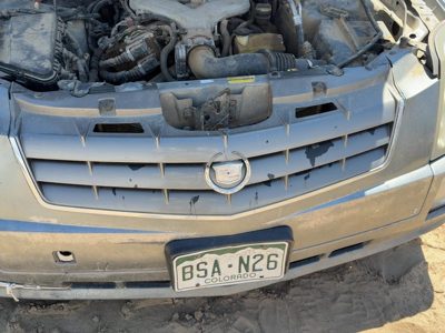 2004-2005 Cadillac Srx Front Grille Assembly Oem Silver 42U 25763160