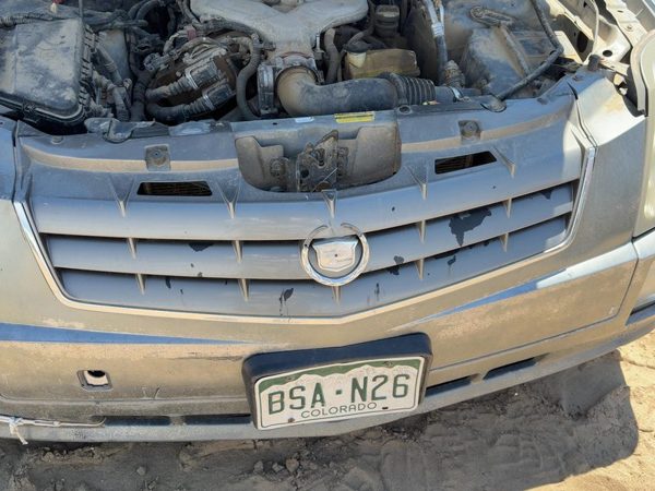 2004-2005 Cadillac Srx Front Grille Assembly Oem Silver 42U 25763160 — photo 1