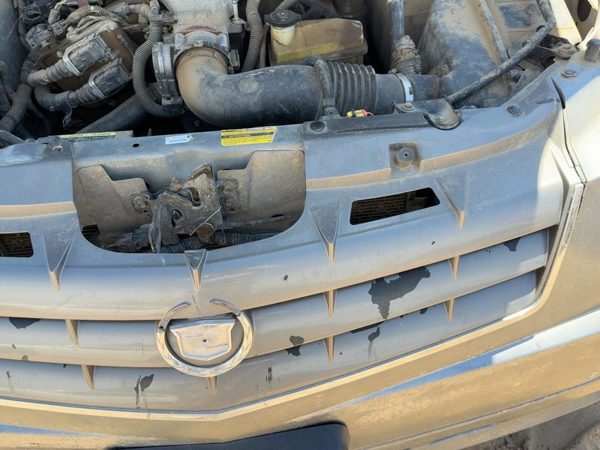 2004-2005 Cadillac Srx Front Grille Assembly Oem Silver 42U 25763160 — photo 7