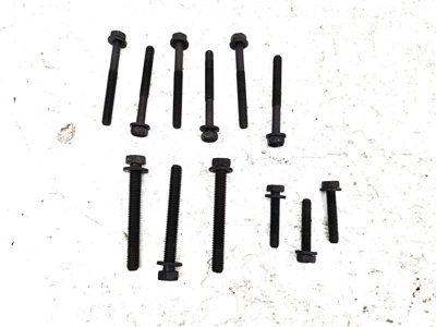 2008-2010 Dodge Caravan Engine Timing Cover Bolts Oem Hardware Set 3.3L