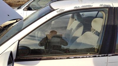 2000-2006 Nissan Sentra Driver Left Front Side Window Door Glass Oem 803014Z801