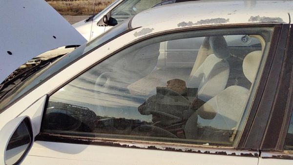 2000-2006 Nissan Sentra Driver Left Front Side Window Door Glass Oem 803014Z801 — photo 4