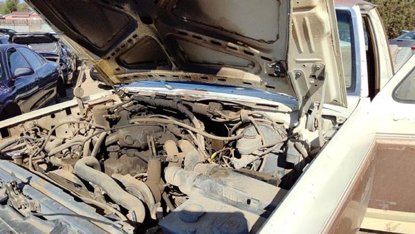 1980-1995 Ford F150 Pair Of Hood Hinges Right Left Set Assembly Oem White — photo 3