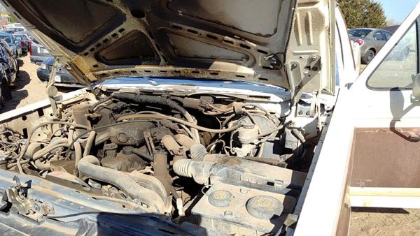 1980-1995 Ford F150 Pair Of Hood Hinges Right Left Set Assembly Oem White — photo 1