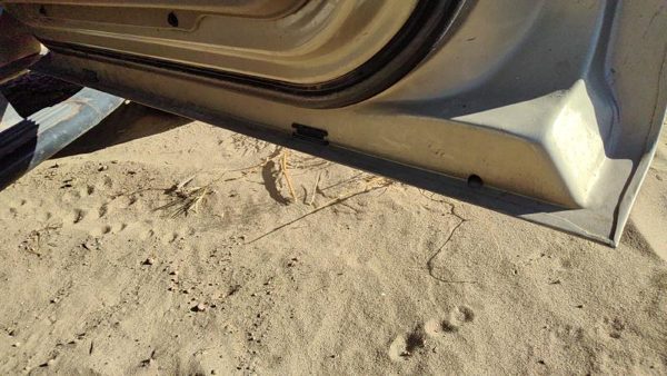 2003 Ford Explorer Front Door RH B2 Harvest Gold — photo 8