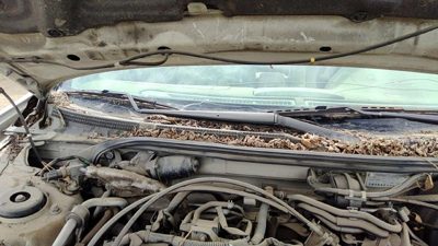 2000-2003 Nissan Maxima Passenger Right Windshield Wiper Arm Oem Blade Lever