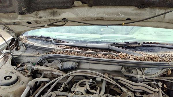 2000-2003 Nissan Maxima Passenger Right Windshield Wiper Arm Oem Blade Lever — photo 1