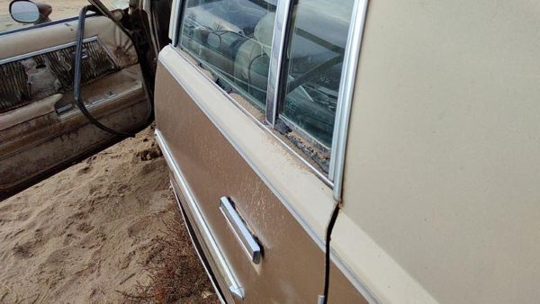 1981 Chevrolet Malibu Rear Door LH Tan 20320764 — photo 3