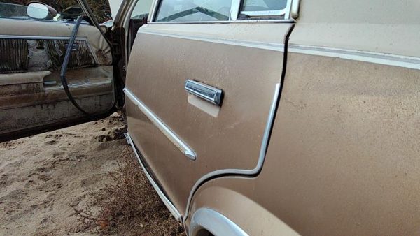 1981 Chevrolet Malibu Rear Door LH Tan 20320764 — photo 4