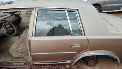 1981 Chevrolet Malibu Rear Door LH Tan 20320764
