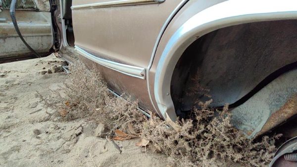 1981 Chevrolet Malibu Rear Door LH Tan 20320764 — photo 5