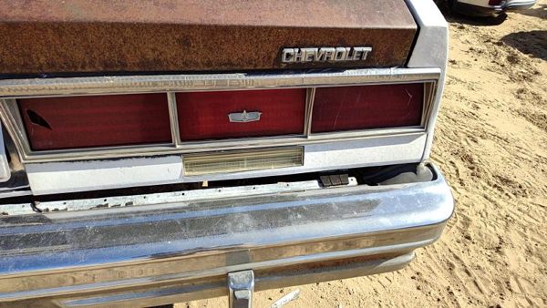 1979 Chevy Caprice Passenger Right Tail Light Oem Brake Lamp Rear 5970194 — photo 1