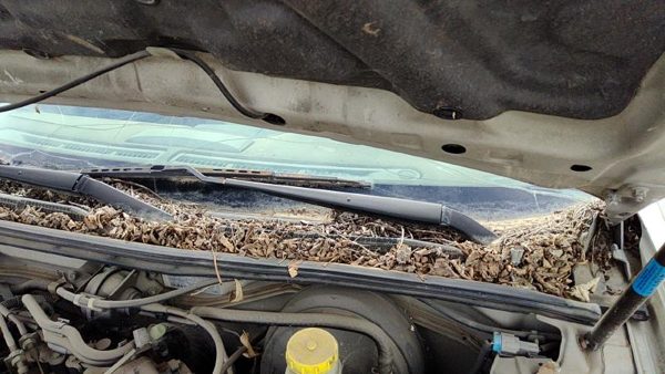 2000-2003 Nissan Maxima Driver Left Windshield Wiper Arm Oem Blade Lever — photo 1
