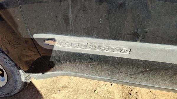 03-04 Chevy Trail Blazer Driver Left Front Moulding From Door Trim Strip Black — photo 2