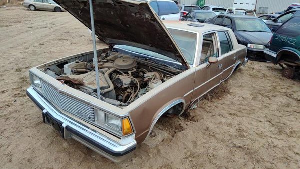 1981 Chevrolet Malibu — vehicle photo 1