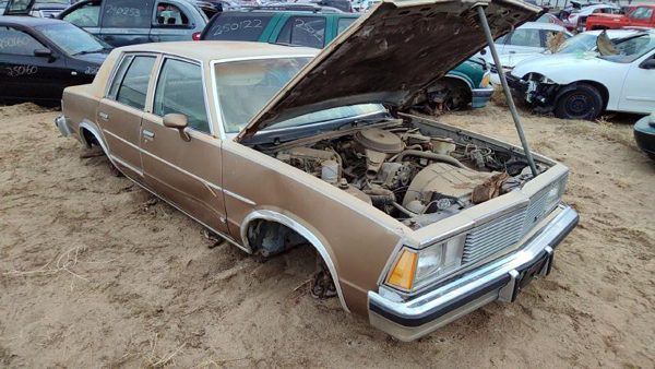 1981 Chevrolet Malibu — vehicle photo 2