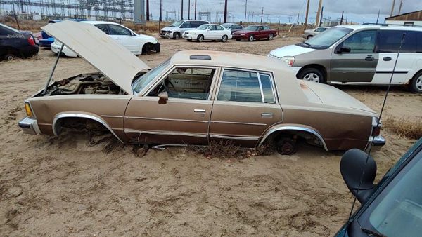 1981 Chevrolet Malibu — vehicle photo 4