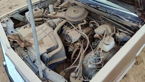 1981 Chevrolet Malibu — vehicle photo 7