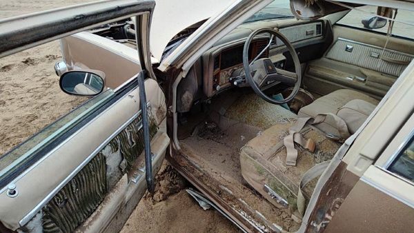 1981 Chevrolet Malibu — vehicle photo 5