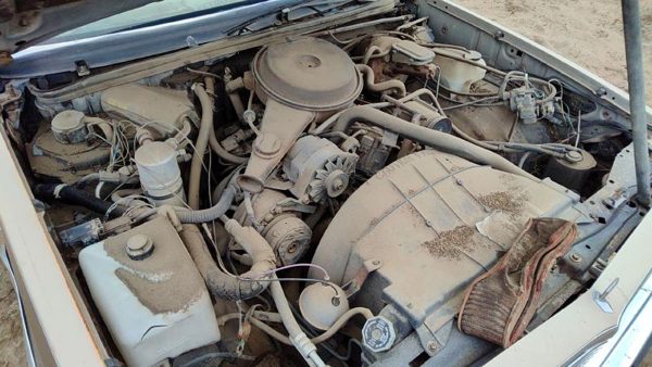 1981 Chevrolet Malibu — vehicle photo 8