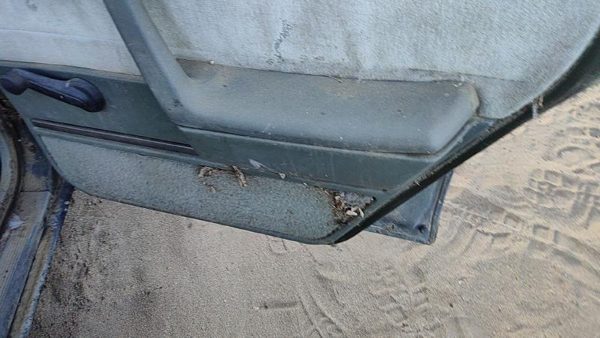 1982-1991 Pontiac 6000 Passenger Right Rear Door Trim Panel Manual Windows Green — photo 4