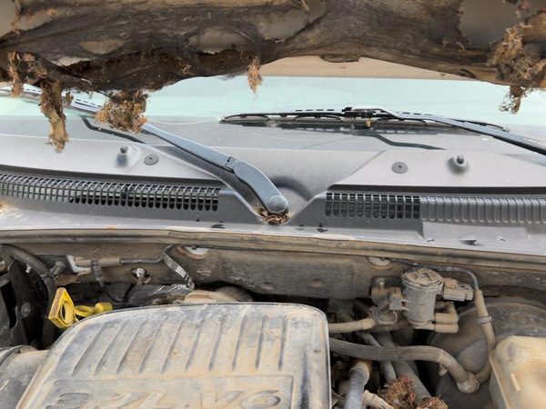 2005-2007 Dodge Dakota Windshield Wiper Cowl Vent Trim Panel Oem Cover — photo 2