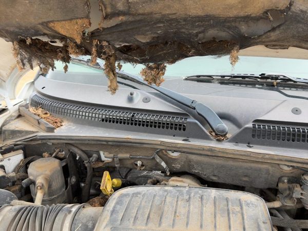 2005-2007 Dodge Dakota Windshield Wiper Cowl Vent Trim Panel Oem Cover — photo 4