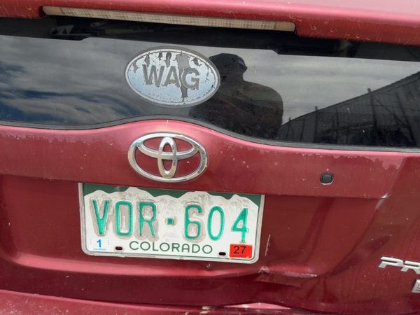 05 Prius License Plate Trim Surround Panel Oem Tail Trunk Finish Salsa Red 3Q3 — photo 2