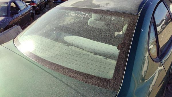 2000-2002 Ford Taurus Back Glass Rear Window Oem Yf1z5442006aa — photo 2