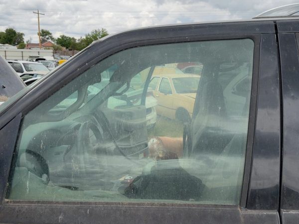 1997-2002 Ford Expedition Driver Left Front Side Window Door Glass Oem — photo 4