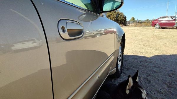 2004 Pontiac Grand Am Front Door RH 33U Champagne Beige 22702414 — photo 5