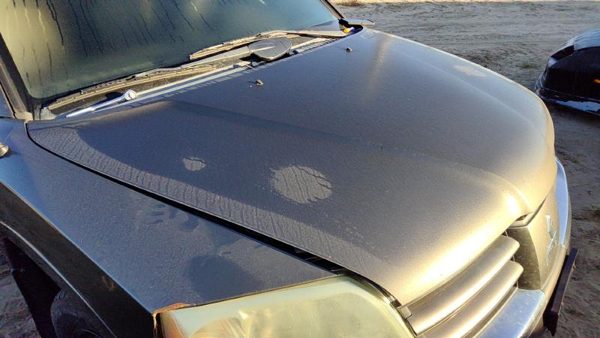 2004 Mitsubishi Endeavor Hood C04 Mineral Beige — photo 2
