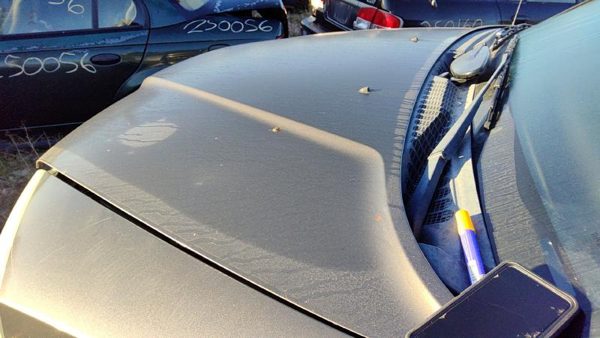 2004 Mitsubishi Endeavor Hood C04 Mineral Beige — photo 4