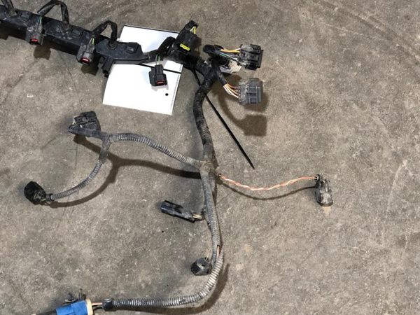 2003 Ford Focus Wiring Harness For Engine Oem 2.0L At Sohc — photo 3