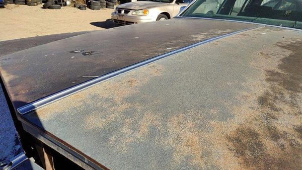 1980-1984 Deville Sedan Center Chrome Trim Strip From Hood Oem — photo 2