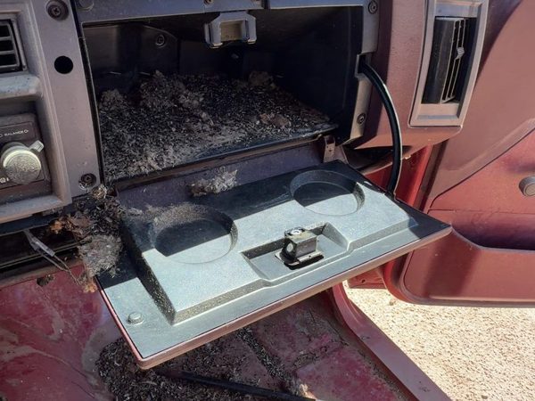 1986-1994 Chevy S10 Pickup Glove Box Assembly Complete Door With Latch Oem Red — photo 2