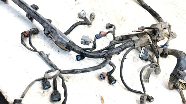 2006 Honda Accord Wiring Harness For Engine Oem 3.0L At — photo 8