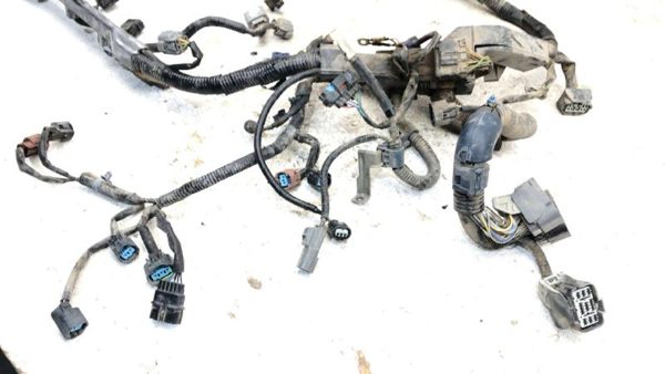 2006 Honda Accord Wiring Harness For Engine Oem 3.0L At — photo 3
